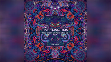 One Function - Are You Experienced