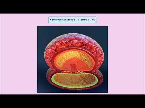 Janin Embryology App (Available Now)