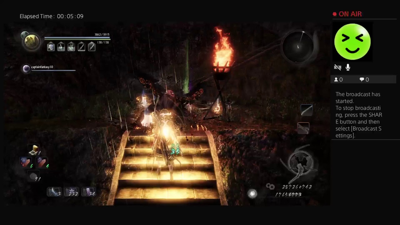 hornianimal's stone throwing adventure