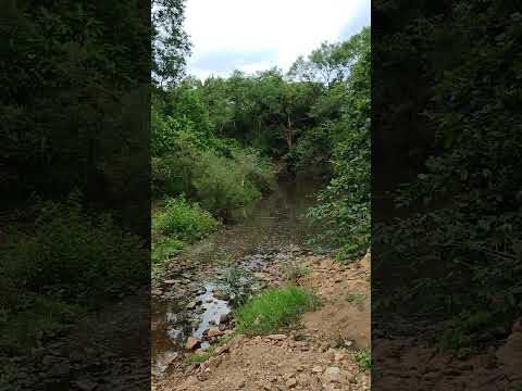 #nature