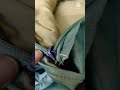 How to fix broken school bag zip #silaitips #easysilai #vpn #fashion #vlogs #shorts #ytshort #easy image