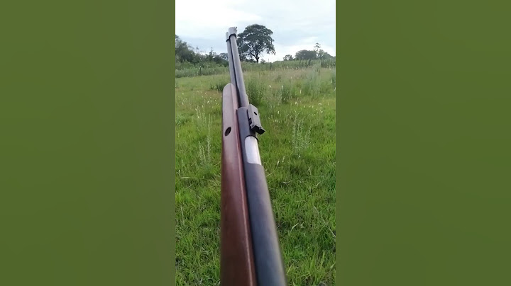 Rifle 5.5 a 50 metros.