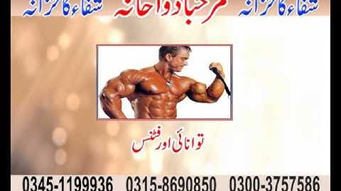 4shared   My 4shared   shared folder   free file sharing and storage 2