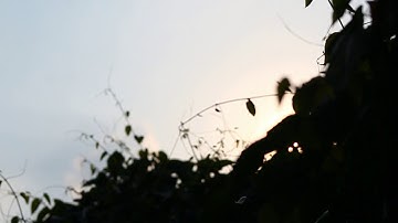 #ObeyToSafe // A Short Video Documentary during ECQ