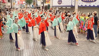 ほにや よさこい祭り 帯屋町演舞場 2023年8月10日 4K