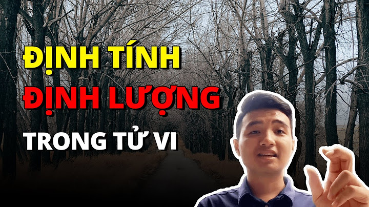 Lượng chỉ trong tử vi là gì năm 2024