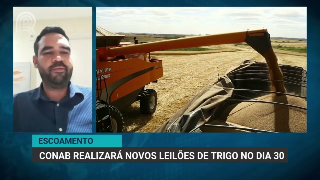 Novo leilão de apoio ao escoamento de trigo será realizado nesta