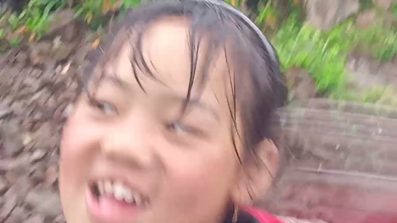 Finding Crab in jungle