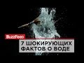 7 шокирующих фактов о воде