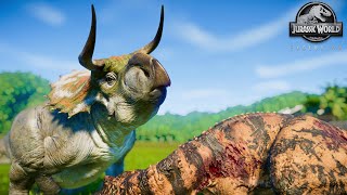 Nasutoceratops Brutal FIGHT Animations vs All DINOSAURS | Jurassic World Evolution