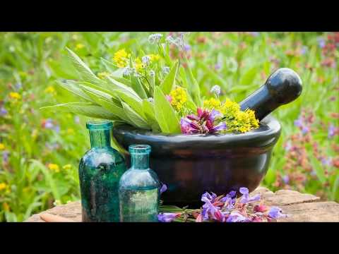 Antifungal Essential Oils -  Antifungal Activity