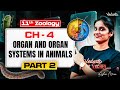 11th Zoology | CH 4 Organ and Organ Systems in Animals Part 2 | TN State Board | Asha Ma&#39;am