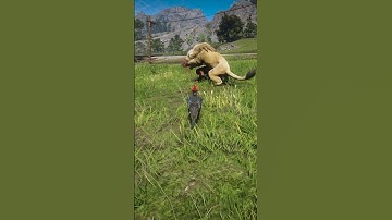 Part 31 Learn great survival skills , #shorts