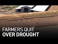 Bay Area Farmers, Ranchers Face Mounting Challenges as Drought Worsens