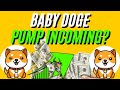 BABY DOGE Road To 100X | EP. 17 | Major Updates Incoming!