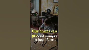 Our brains can process images