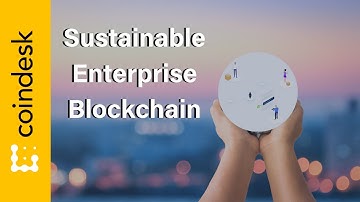 The Importance of Sustainable Enterprise Blockchains