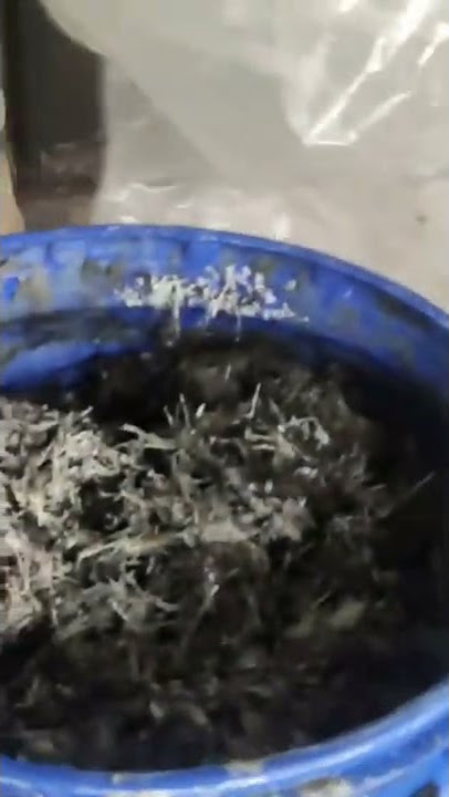 CARA MEMBUAT ASAM HUMAT cek selengkapnya di https://youtu.be/dN7IF2drdg8