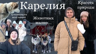 КАРЕЛИЯ| часть 1❄️Стоит или нет? 😕|Водопад Кивач| Румтур двух отелей👍🏻