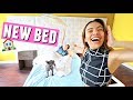 OUR NEW BED FINALLY ARRIVED!🏠🛏️ Building furniture, shopping, and a mini haul!