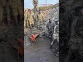 Bu TutmalÄ ðŸ ðŸ ðŸ ðŸ ðŸ Short Tà Rkaskeri Asker Jandarma Komando Bu TutmalÄ ðŸ ðŸ ðŸ ðŸ ðŸ Short Tà Rkaskeri Asker Jandarma Komando