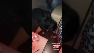 Ashu Reddy In Pub Saturday Night Party Video Lo