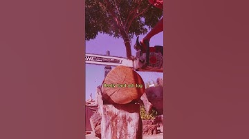 Stihl ms 500i  ￼ #logger #lumberjack#chainsaw #stihl500i#firewood #shorts#evolve#love #bekind