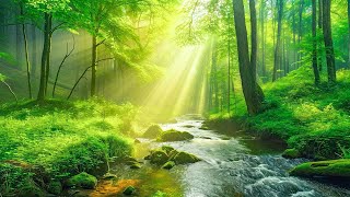 Healing piano music🌿 calming melodies for stress relief and emotional healing