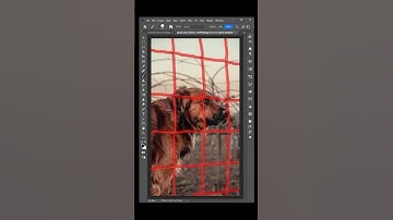 Remove Fences With Generative Fill #photoshop