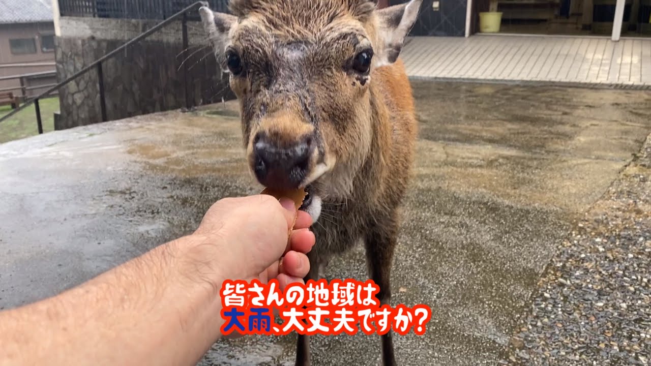 Zpqhtxenmbyjom
