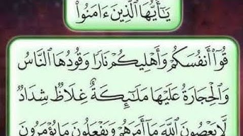 ياأيها الذين آمنوا قوا أنفسكم وأهليكم نارا.... سورة التحريم  القارئ حامد العسكر