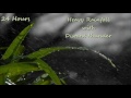 24 Hours - Heavy Rain with Distant Thunder, Sounds for Sleep and relaxation