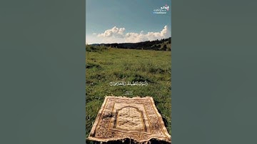 سورة الضحى || فيصل الهاجري