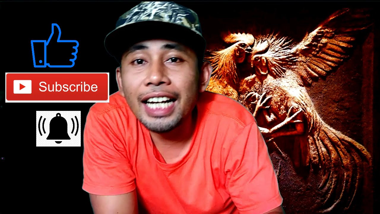cara mengobati ayam bangkok dari snot, crd, berak kapur, dan berak