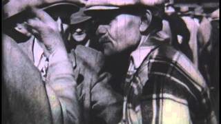 Around the World in New York: Ethnic Enclaves of 1940s New York (circa 1940)