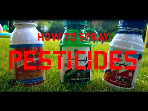 Videó: Kertészeti spray-k használata és rovarölő szappanpermet készítése növények számára