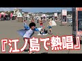 Temuで爆買いした商品で江ノ島を盛り上げてみたwww