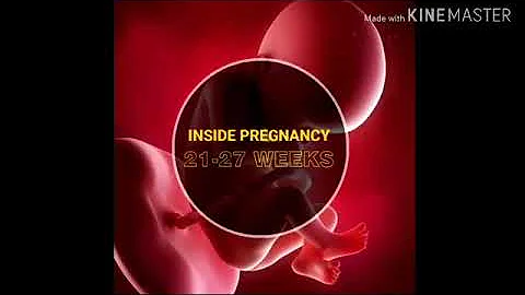 inside pregnancy 21 to 27 weeks