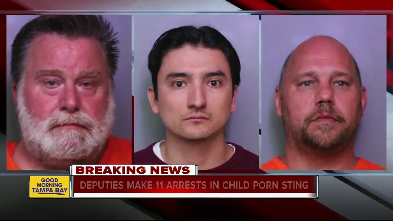 Disney World Porn - Disney World, Legoland employees among 11 arrested in undercover child porn  sting in Polk County