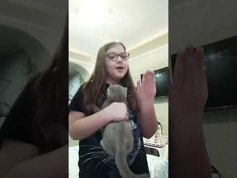 Мотя модный лук