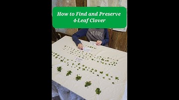 How to Find and to Preserve 4 Leaf Clover 4-H Project "My Favorite Things"