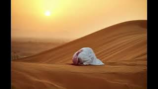 THE SINS NASHEED (SPED UP) - MUHAMMAD AL MUQIT