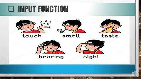 Class 3 Computer Lesson 2 The computer and You