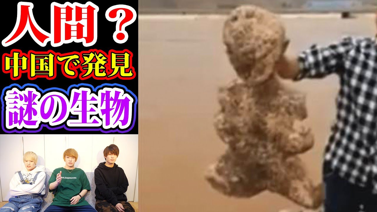 ピクミンには 人気生物なのにリストラされたチャッピーがいるらしい ピクミン原生生物の生態考察 的youtube视频效果分析报告 Noxinfluencer