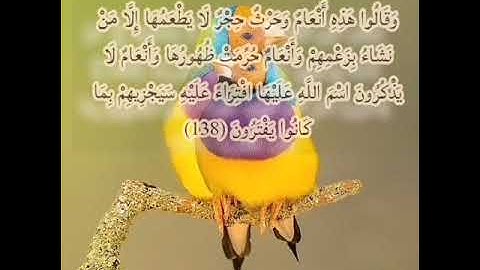 سورة الأنعام الصفحة 146 مكررة بصوت الشيخ أيمن سويد