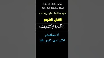 تلاوة خاشعة||#اكسبلور #القرآن #دويتو #اكسبلورر #القرآن_الكريم #لايك #تيك_توك #راحة_نفسية