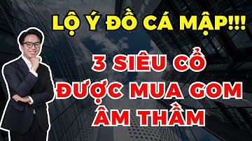 Lộ ý đồ cá mập: 3 SIÊU CỔ được mua gom âm thầm!!!