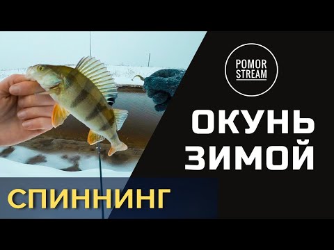 ЗИМНЯЯ РЫБАЛКА на окуня ! ОТКРЫЛ СЕЗОН зимнего спиннинга