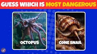 Guess Which Is More Dangerous in 6 Seconds Can You Get Them All Right QUIZZIWOO