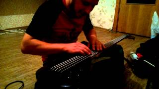 WP_20130830_013.mp4